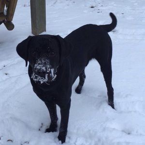 Meet your Posher, Coleton